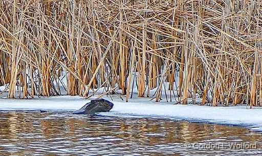 4K Frame Grab_P1020015.jpg - Photographed at Smiths Falls, Ontario, Canada.
